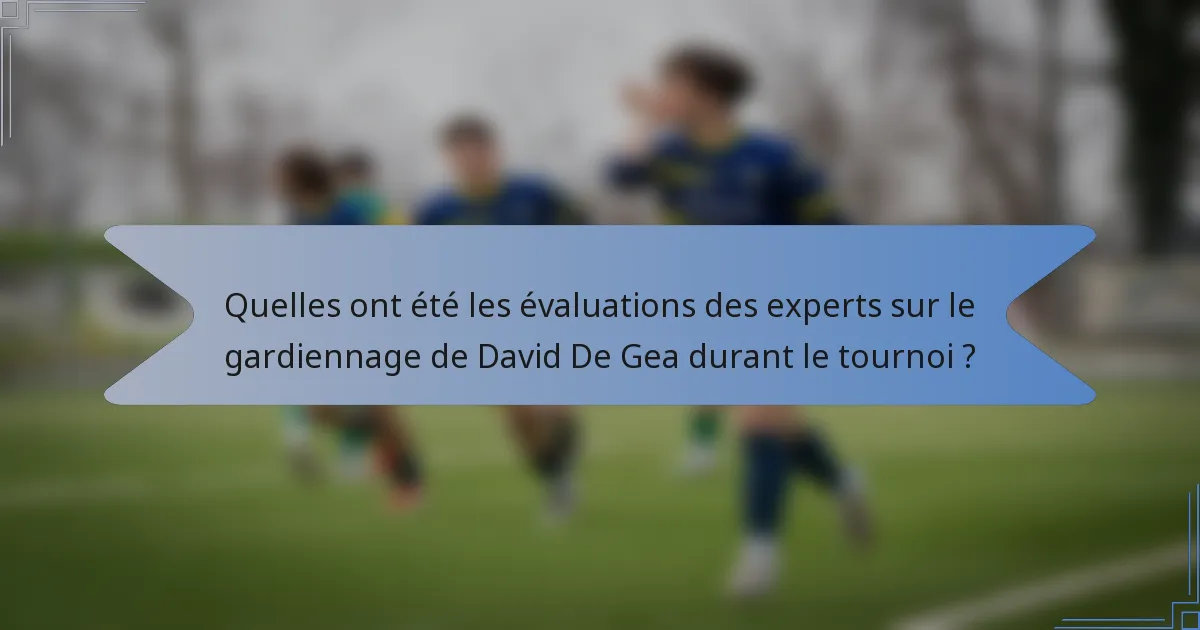 Quelles ont été les évaluations des experts sur le gardiennage de David De Gea durant le tournoi ?